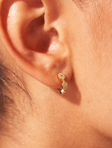 Créoles Tara - Zircons Blancs