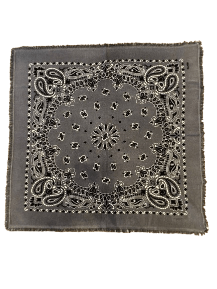 Bandana Kujten Hachiko Bico - Tandem