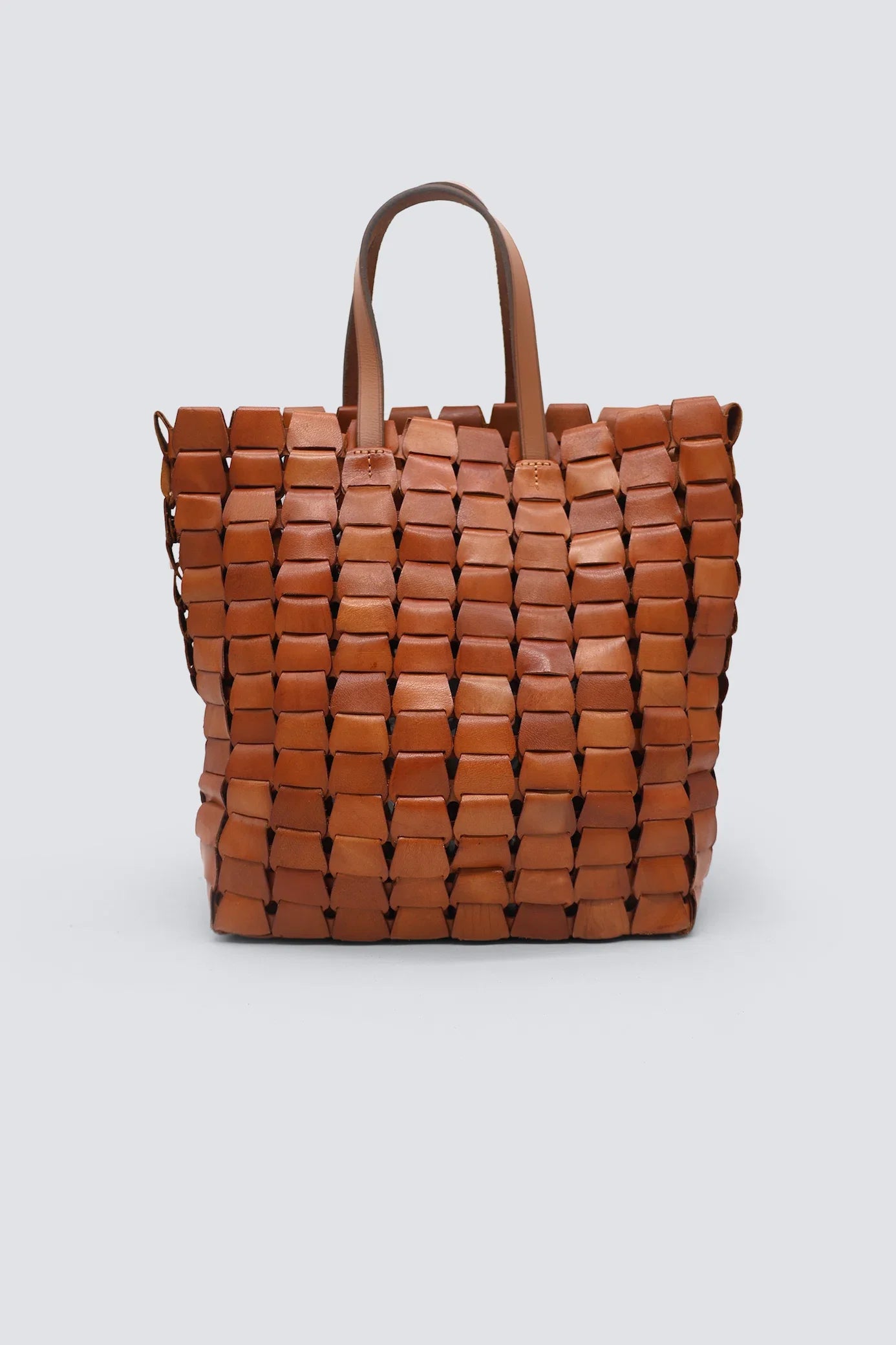 Sac Dragon Link Tote